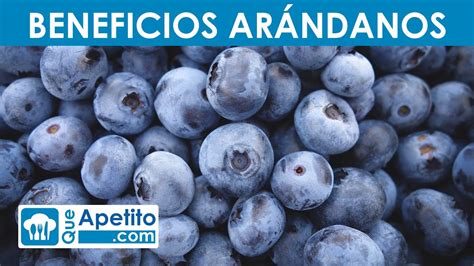 8 Propiedades y Beneficios de los Arándanos QueApetito YouTube