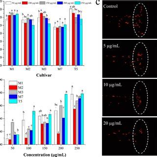 In Vitro And In Vivo Anti Inflammatory Effects Of Extracts From