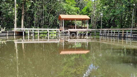 Fazenda Venda No Par Paragominas Ha Agroportal