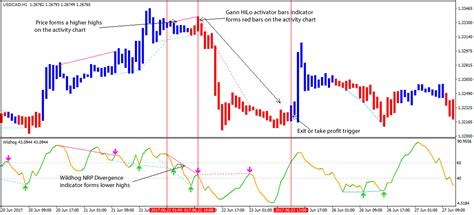 Wildhog Nrp Divergence Forex Trading Strategy