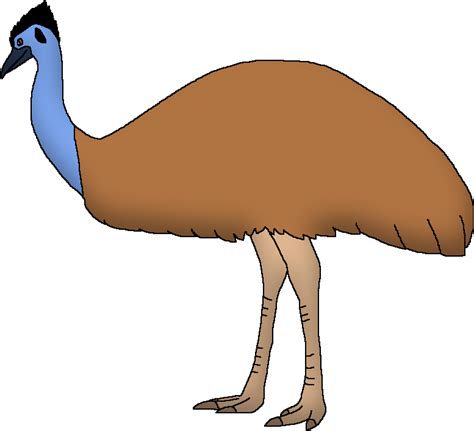 Download Colorful Emu Illustration