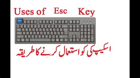 What Is The Function Of The Esc Key In Keyboard English Subtitles