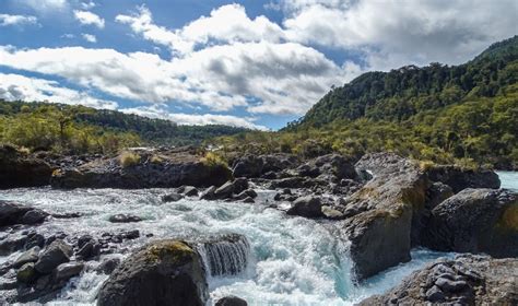 Descubre 3 Reservas Nacionales En La Zona Sur De Chile Learn Chile