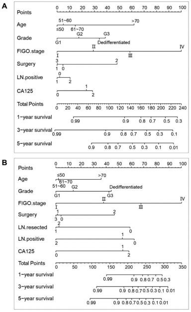 An Analysis Of Clinical Characteristics And Prognosis Of Endometrioid