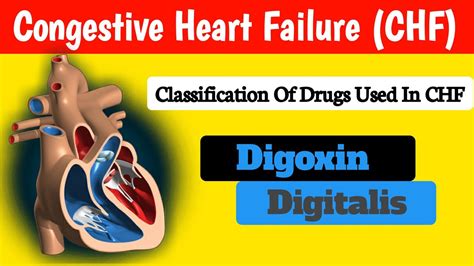 Drugs Used In Congestive Heart Failure Classification Of Drugs Used