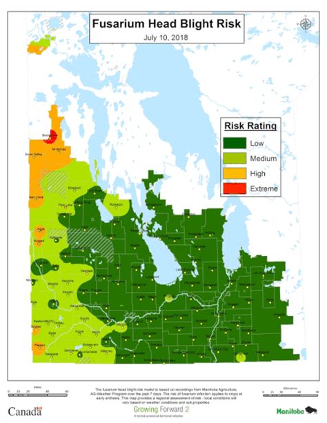 Province Of Manitoba Agriculture Fusarium Head Blight Report