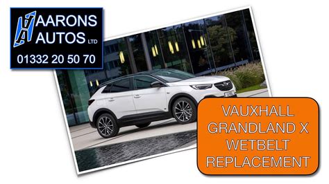 Vauxhall Grandland X Wetbelt Replacement Youtube