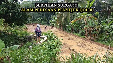 Serpihan Surga Sungguh Alam Pedesaan Yang Damai Dan Indah Penyejuk