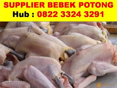 0822 3324 3291 Jual Bebek Potong Tangerang By Supplier Bebek Potong