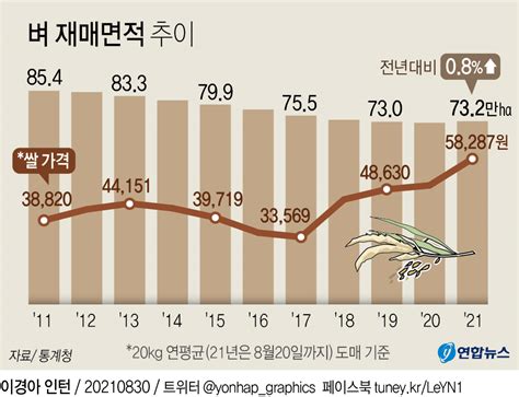 그래픽 벼 재배면적 추이 연합뉴스