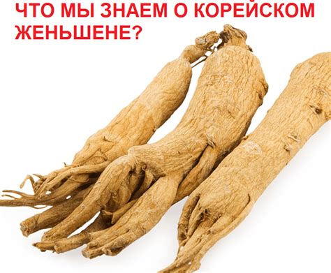 Что мы знаем о корейском женьшене? | Корейский красный женьшень купить ...