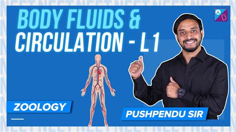 Introduction To Circulatory System Body Fluids And Circulation Class