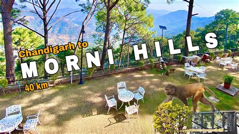 Morni Hills Km From Chandigarh Best Offbeat Place Near Chandigarh