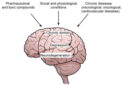 Ijms Free Full Text Stress Induced Depression And Alzheimers