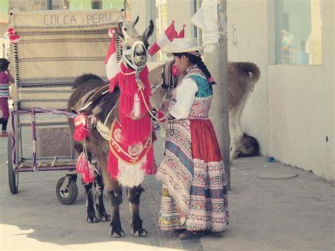 Arequipa Durch Den Colca Canyon Zu Den Kondoren S Damerika Reise