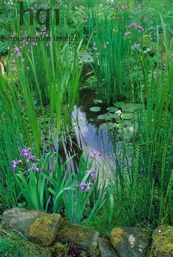 Harpur Garden Images Ltd 02mh122 Small Wildlife Pond Planted With