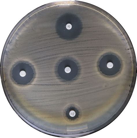 Mueller Hinton Agar Antibioticos Y Sulfamidas Bioser