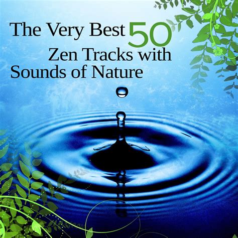 ‎the Very Best 50 Zen Tracks With Sounds Of Nature New Age Music For