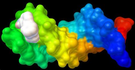 Surface View Of Docked 3fcno 2 With Dna Pdb Id 1bna Download