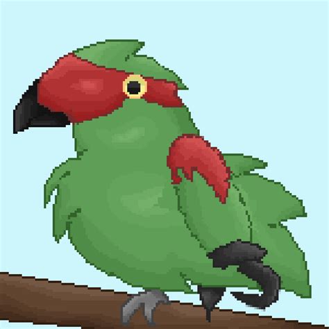 Pixilart Pirate Parrot By AmazingPandaCat