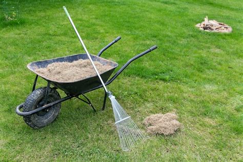 The Homeowners Guide To Reviving Dead Grass 2025 Todays Homeowner