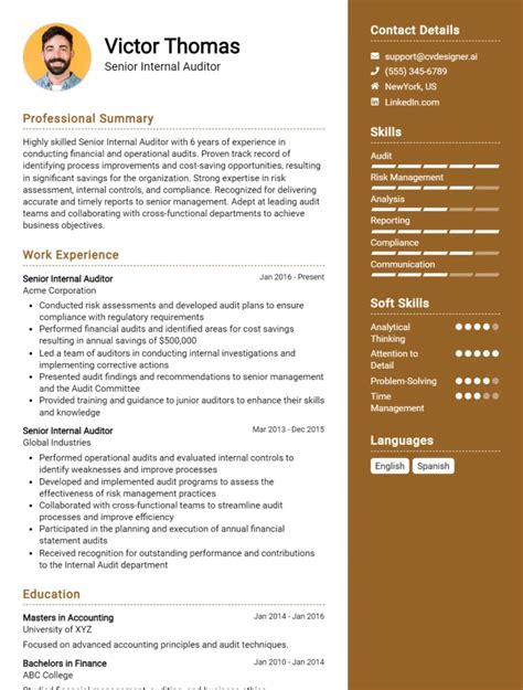 12 Auditor Cv Examples And Templates For 2024 Ultimate Guide Cvdesigner Ai