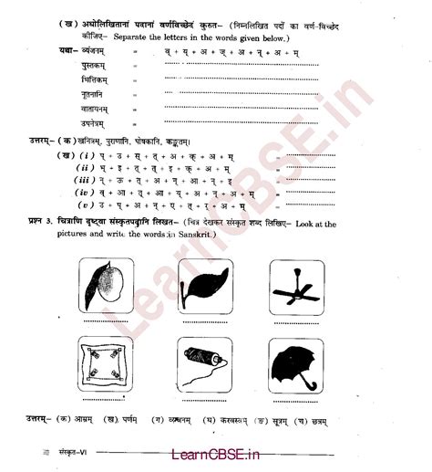 Ncert Solutions For Class 6th Sanskrit Chapter 3 अकारान्त नपुंसकलिंग