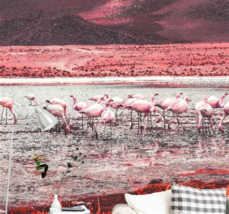 Fotomural Sal N Paisaje Con Muchos Flamencos Tenvinilo