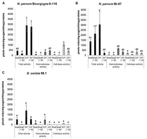 Polysaccharide Degrading Enzymatic Activities Glucose Liberation