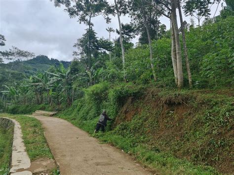 Jual Kebun Luas Di Ciwidey Bandung Cocok Untuk Wisata View Cantik