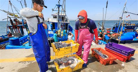 lambayeque Por qué urge formalizar la pesca artesanal de pota