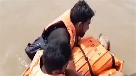 WATCH: Rescuers set example of kindness by saving dog from drowning in surging river