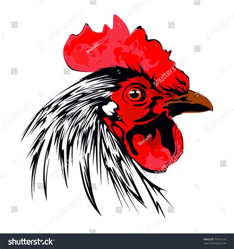 Rooster Stock Vector Illustration 73014274 Shutterstock