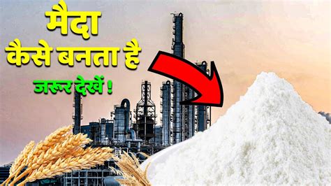 How Maida Is Made In Factory How Wheat Is Made In Factory Youtube