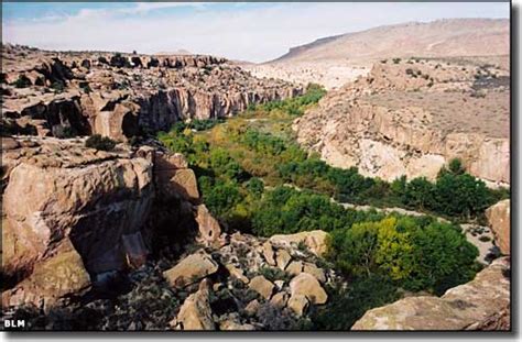 Gila Box Riparian National Conservation Area