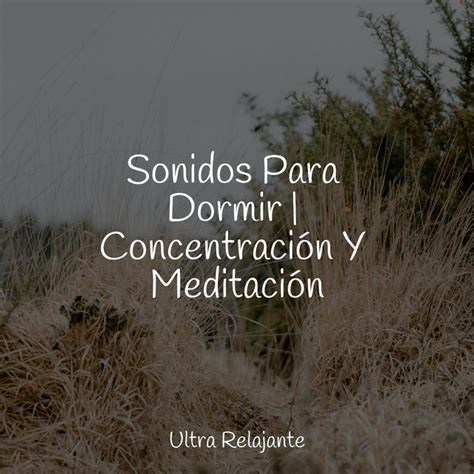 Sonidos Para Dormir Concentración Y Meditación Album by Massagem