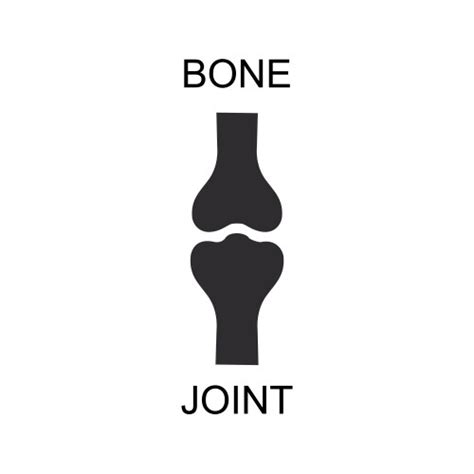 Human Knee Bone Joint Icon Royalty Free Vector Image