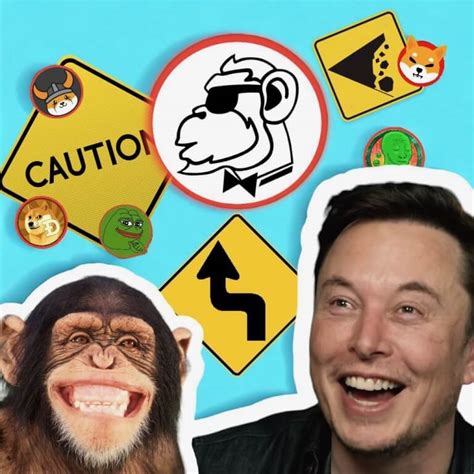 Elon Musk Memes And Monkeys Navigating The New Crypto Landscape