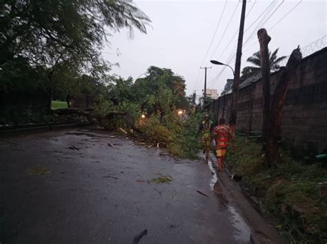 Hamidah Adedoyin On Twitter A Fallen Tree Is Obstructing The Access