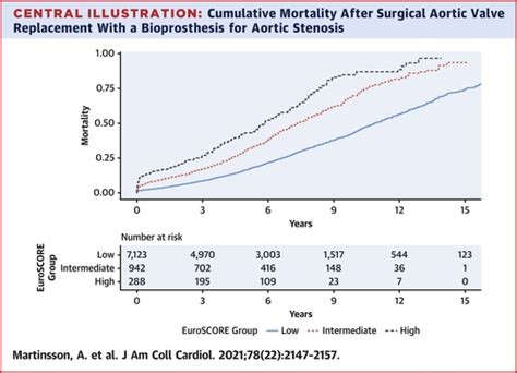 Life Expectancy After Aortic Valve Replacement Ulrike Geiger