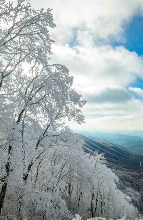 Rime Ice and snow, Appalachian Mountains | Smithsonian Photo Contest | Smithsonian Magazine