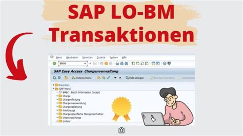 Transaktionen Wissenswertes Ber Sap Erp Und Sap S Hana