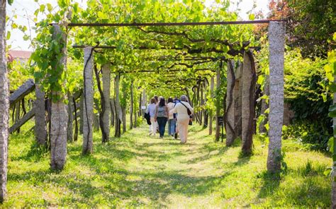 La Ruta do Viño Rías Baixas presenta sus propuestas enoturísticas para