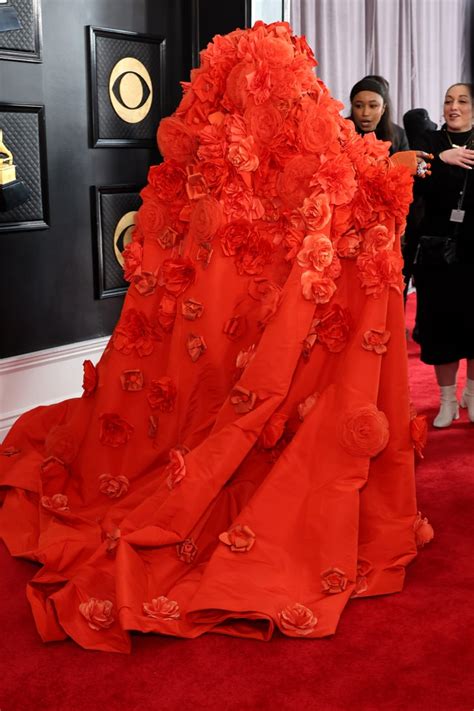 Lizzos Floral Cape Dress At The Grammys 2023 Photos Popsugar