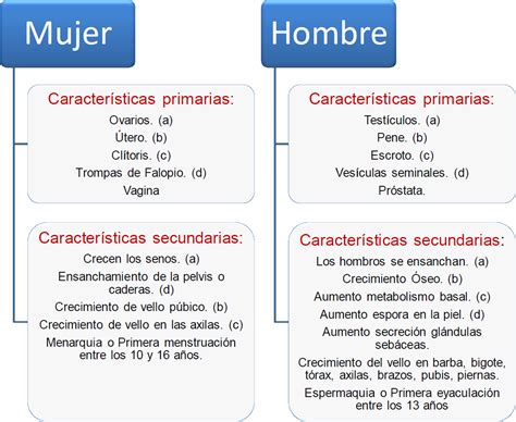 Características físicas primarias y secundarias