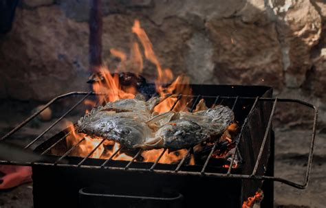 Grilled Fish · Free Stock Photo