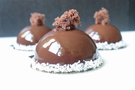 D Mes Noix De Coco Chocolat Recette Entremet Olivia P Tisse Noix De