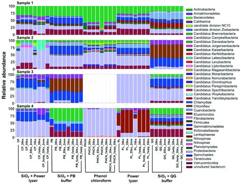 Taxonomic Profile For The Bacteria Domain At Phylum Level Of Collapsed