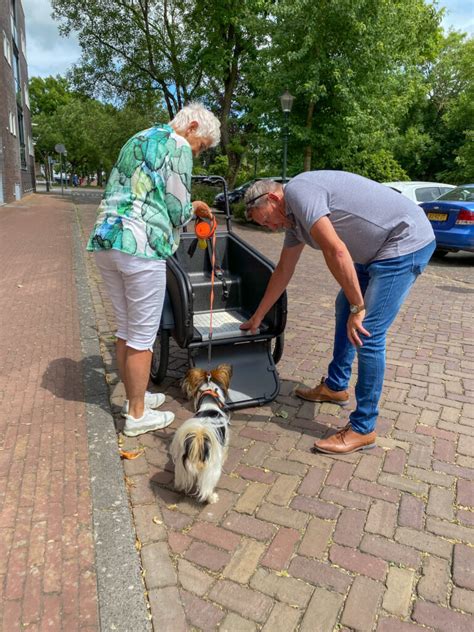 Kom Gratis Een Proefrit Maken In Amsterdam Fairwind Cargo Bikes