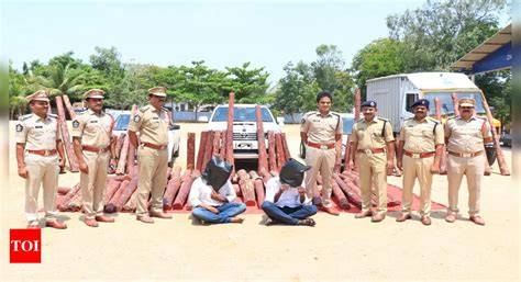 Andhra Pradesh Chittoor Police Seize Rs Crore Worth Red Sanders And